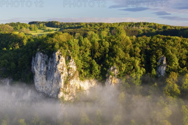 Limestone rock between mixed forest, fog, oak rock, Irndorf, Upper Danube nature park Park, Baden-Württemberg, Germany, Europe