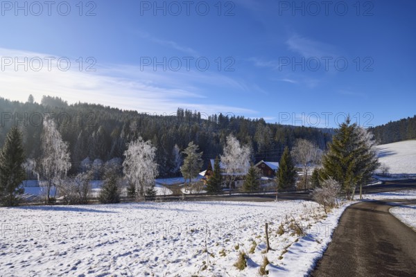 Winter landscape, snow, road, blue sky with veil clouds, Titisee-Neustadt, Black Forest, Breisgau-Hochschwarzwald district, Baden-Württemberg, Germany, Europe