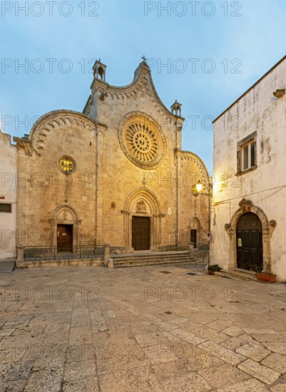Illuminated Ostuni Cathedral by night, Apulia - Puglia, Italy, Europe