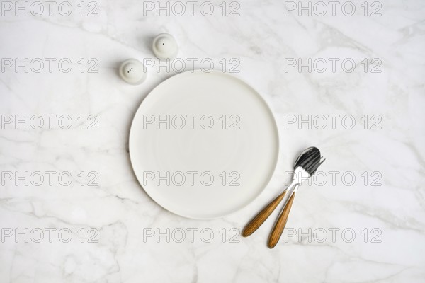 A simple dining arrangement showcases an empty white plate accompanied by a fork and knife with wooden handles, placed on a smooth marble surface, alongside salt and pepper shakers