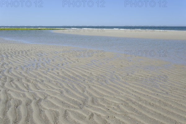 Beach at low tide with wave-like structure, current ripples in wet sand, blue sky, North Sea, Norderney, East Frisian Islands, Lower Saxony, Germany, Europe