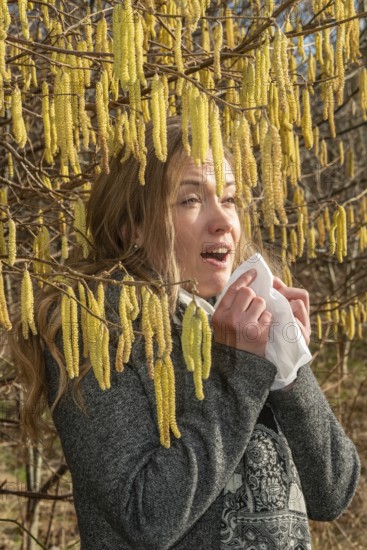 Young Caucasian woman with allergy problem stands by flowering hazel bush and sneezes into a handkerchief in Ystad, Skåne County, Sweden, Scandinavia, Europe