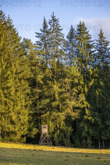Ladscape of an Edge of the forest with a hunting stand, Lengenbach, Deining, Upper Palatinate, Bavaria, Germany, Europe