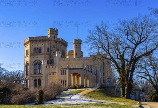 Babelsberg Palace, Potsdam, Brandenburg, Germany, Europe
