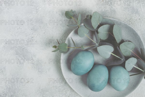 Easter colored eggs, in turquoise tones, on a gray plate, with a branch of eucalyptus, Easter card, top view, no people