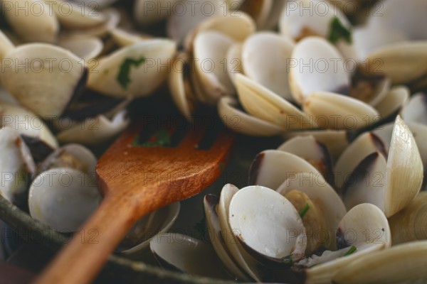 Cooking, vongole clams, in a pan with spices and white wine, top view, no people