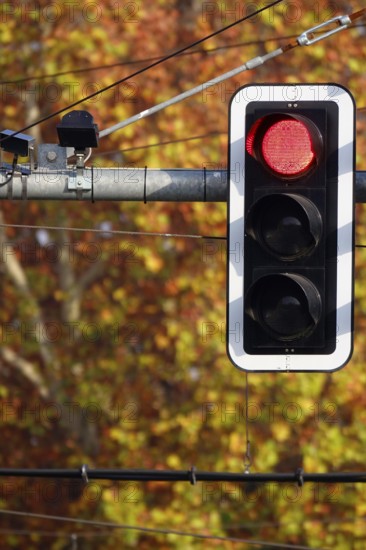 Traffic light, Germany, Europe