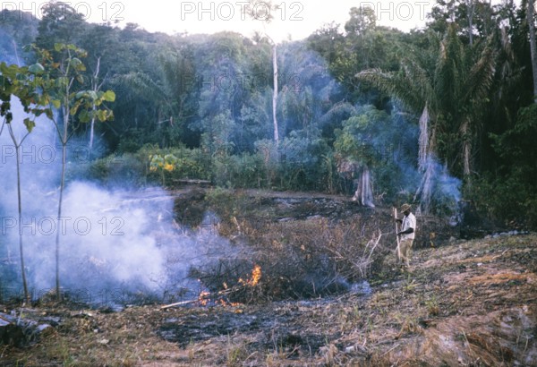 Burning bush vegetation to clear land for agriculture at Balandra, Trinidad 1963