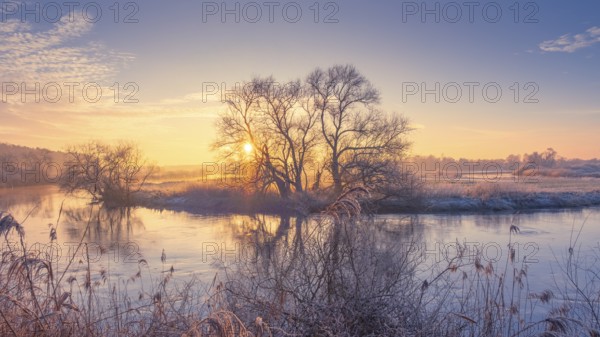 View of the river Leine at sunset, winter, snow, ice, frost, cold, season, cosy, panorama, landscape photo, nature photo, flora, fauna, landscape format, willow, grasses, flat land, sky, clouds, sunset, backlight, Neustadt am Rübenberge, Hanover region, Lower Saxony, Germany, Europe