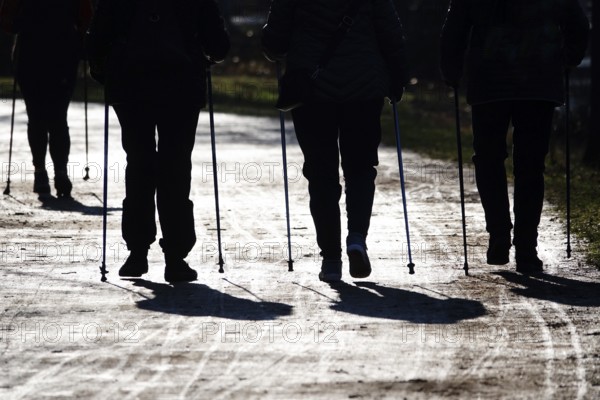 Walking, Seniors do sport, Winter, Germany, Europe
