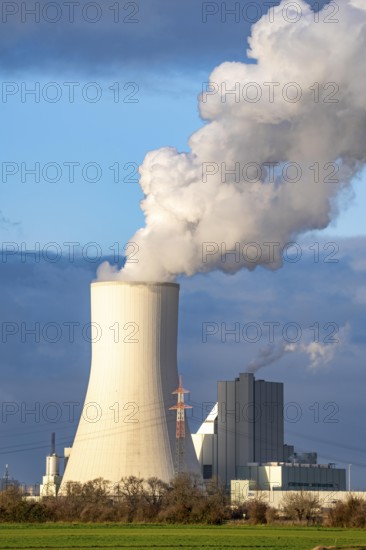 The STEAG coal-fired power plant Duisburg-Walsum, on the site of the former Walsum colliery, on the Rhine, unit 10 in operation, 181 metre high cooling tower, cloud of water vapour and exhaust gases, clean gas discharge, electricity and district heating production, Duisburg, North Rhine-Westphalia, Germany, Europe