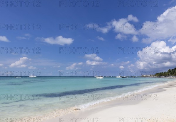 Mexico, Cancun, Isla Mujeres, Playa Norte beach with palms trees and sand waiting for tourists, Central America