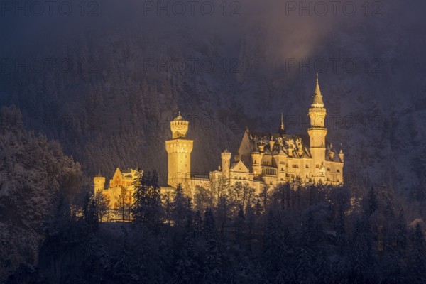 An enchantingly illuminated castle towers over a snow-covered mountain forest, Neuschwanstein, Schwangau, Ostallgäu, Allgäu, Swabia, Upper Bavaria, Bavaria, Germany, Europe