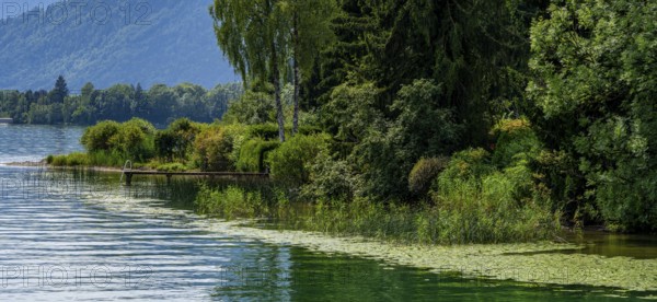 Nature and landscape around Lake Tegernsee, Bavaria, Germany, Europe