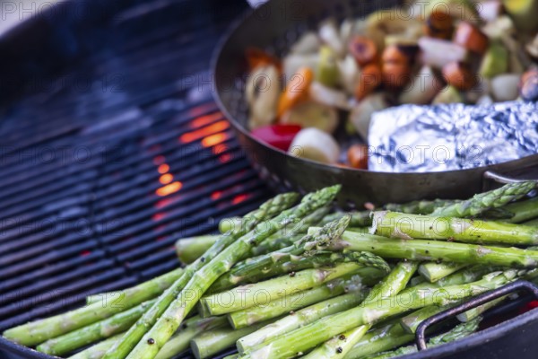 Barbecue, kettle grill with vegetarian and vegan barbecue grills such as grill pan and green asparagus. Baden-Württemberg, Germany, Europe