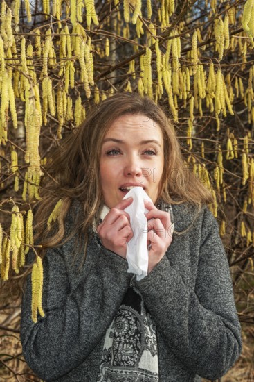 Young Caucasian woman with allergy problem stands by flowering hazel bush and sneezes into a handkerchief in Ystad, Skåne County, Sweden, Scandinavia, Europe