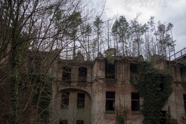 Remains of a destroyed building with empty window openings, surrounded by bare trees, Beelitz-Heilstätten, Beelitz, Brandenburg, Germany, Europe