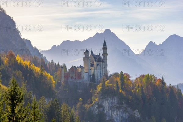 Romantic castle enthroned in autumnal forests against a mountain backdrop, Neuschwanstein, Schwangau, Ostallgäu, Allgäu, Swabia, Upper Bavaria, Bavaria, Germany, Europe