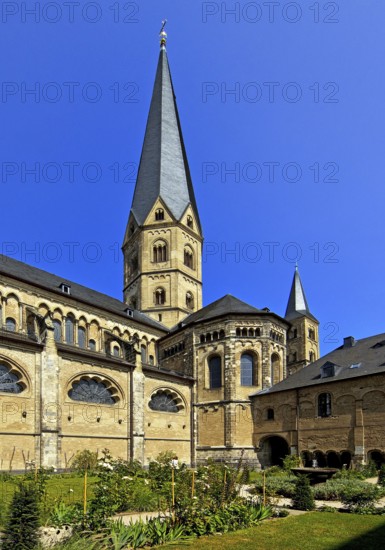 Bonn Minster, also known as the Minster Basilica, the main Catholic church and a landmark of Bonn, North Rhine-Westphalia, Germany, Europe