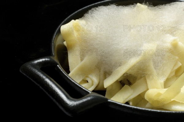 Mould on pasta, mould on food