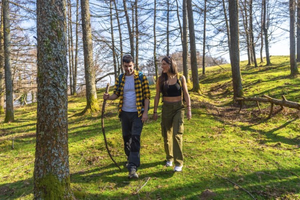 Hikers savoring a sunny day while walking along a scenic forest trail, surrounded by vibrant trees and enjoying nature's tranquility