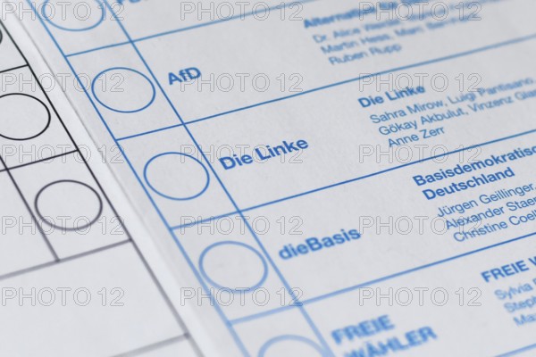 Germany - February 2025: Close up of political party die Linke on ballot paper for German federal parliament election called 'Bundestagswahl'