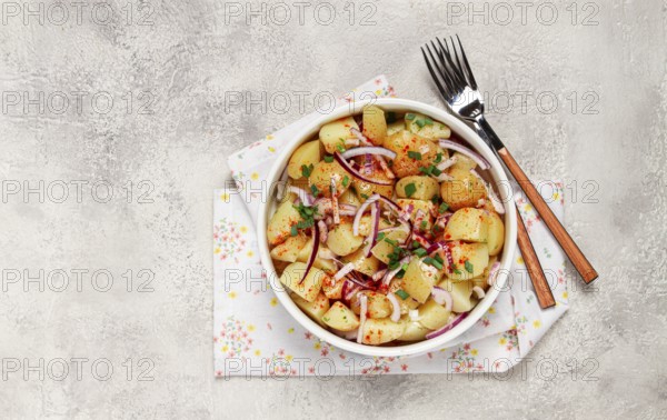 Boiled potato salad with red onion, German cuisine, homemade, no people