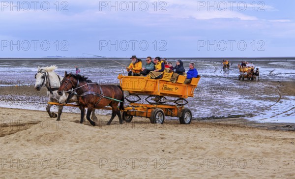 Mudflats in the Wadden Sea from the journey to the island of Neuwerk in the district of Duhnen, North Sea spa town of Cuxhaven, North Sea coast, Elbe, Elbe estuary, Lower Saxony, Germany, Europe