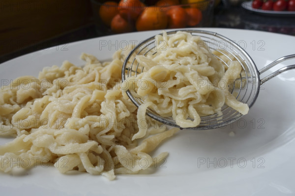 Swabian cuisine, preparation of spaetzle, hand-scraped spaetzle, on serving platter, slotted spoon, traditional cuisine, grandmother's kitchen, regional, home cooking, pastry, cooking, Swabian noodles, typical Swabian, food photography, studio, Germany, Europe