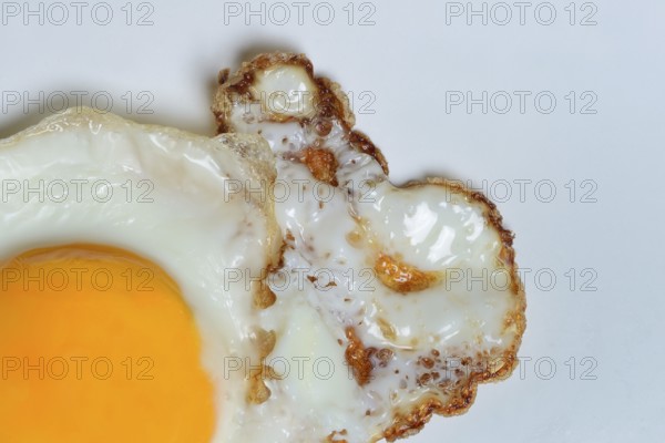 Fried egg, fried egg