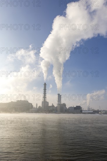 BASF plant site on the banks of the Rhine, chemical company, foggy mood, Ludwigshafen, Rhineland-Palatinate, Germany, Europe