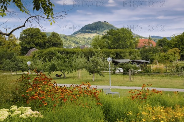Pomologie Reutlingen, garden, public park, meadow, lawn, flowers, trees, lamps, footpath, behind Achalm, mountain, Reutlingen, Baden-Württemberg, Germany, Europe