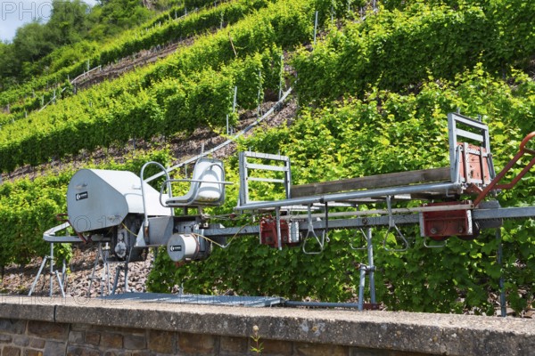 Mechanical vineyard machine in the middle of green vineyard slopes, monorack railway for overcoming extreme gradients in rough terrain, monorail rack railway, Calmont region, Moselle, Rhineland-Palatinate, Germany, Europe