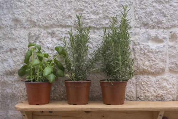 Wooden board with herb pots on a house facade in front of a restaurant, Polignano a Mare, Apulia, Italy, Europe