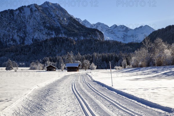 Winter landscape in the snow, cross-country skiing trail through snowy landscape, behind mountains of the Allgäu Alps, Oberstdorf, Oberallgäu, Allgäu, Bavaria, Germany, Europe