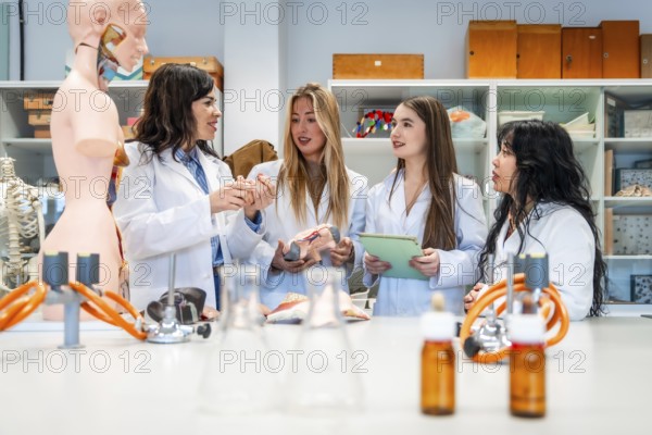 Four medical students collaborating on human anatomy project in university laboratory, analyzing anatomical model and discussing findings