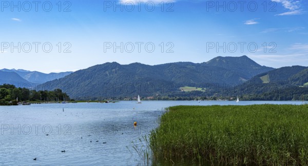 Nature and landscape around Lake Tegernsee, Bavaria, Germany, Europe