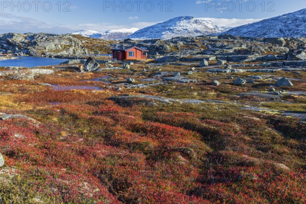 Holiday cabin in Fjell, autumn colours, snowy mountains, autumn, Bjornfjell, Narvik, Norway, Europe