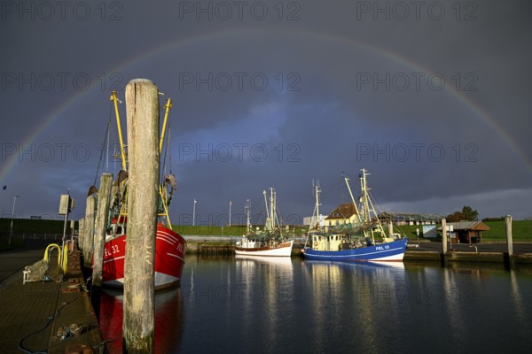 Fishing boats in the harbour of Tammensiel, rainbow, Pellworm Island, Schleswig-Holstein Wadden Sea National Park, North Frisia, Germany, Europe