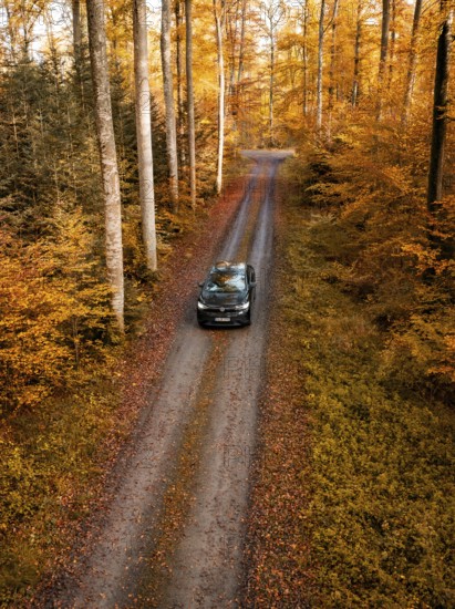 Vehicle on a lonely road in a dense, colourful autumn forest, electric car, VW ID5, Gechingen, Black Forest, Germany, Europe