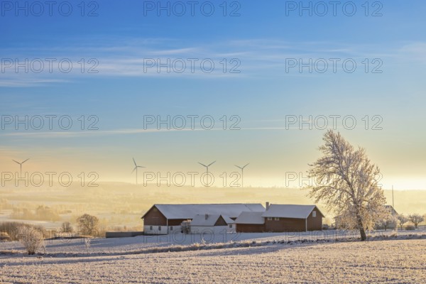 Farm on a snowy field at a valley with mist and wind turbines at the horizon a cold winter day Sweden