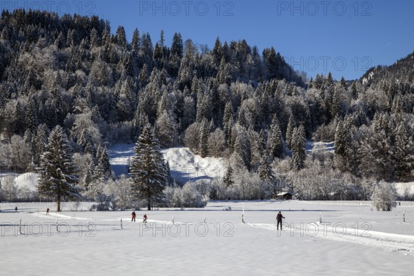 Winter landscape in the snow, cross-country skier on cross-country trail through snowy landscape, Oberstdorf, Oberallgäu, Allgäu, Bavaria, Germany, Europe