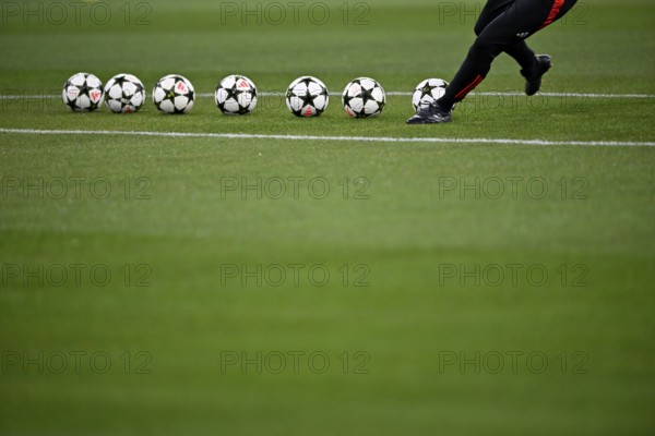 Shot practice, Adidas Derbystar Pro match balls lie on grass, Champions League, Allianz Arena, Munich, Bavaria, Germany, Europe