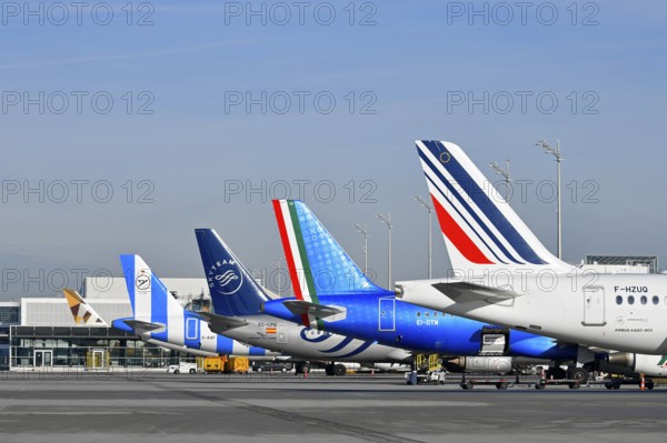 Aircraft Line Up at Terminal 1, Aircraft Line Up, Air France, ITA Airways, Sky, Sky Team, Condor, Etihad, Terminal 1, Munich Airport, Upper Bavaria, Bavaria, Germany, Europe
