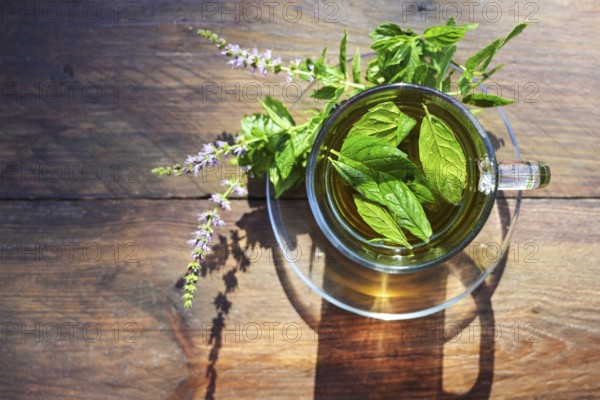 Herbal tea from fresh peppermint leaves and flowers in a glass cup on a rustic wooden table, high angle view from above, copy space, selected focus, narrow depth of field