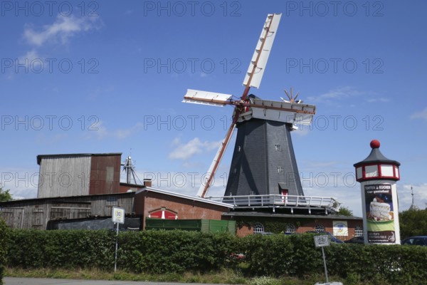 Dutch windmill in Bardowick