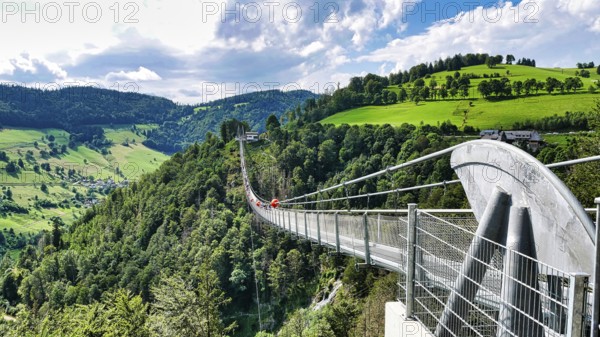 Blackforestline suspension bridge in Todtnau, Black Forest
