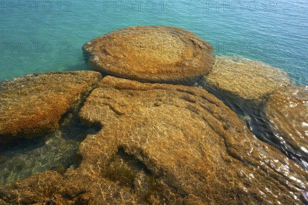 Estromatolitos Stromatolites in Bacalar Lagoon of Mexico in Quintana Roo