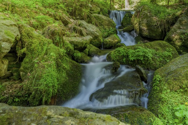 A small waterfall flows over moss-covered stones in a green forest, Nagelstein Waterfalls, Lower Bavaria
