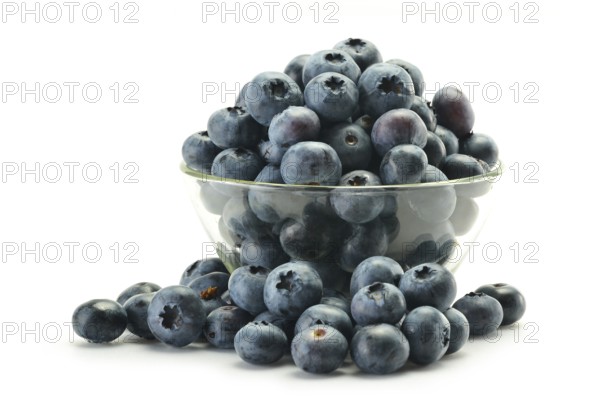 Dish with northern highbush blueberry